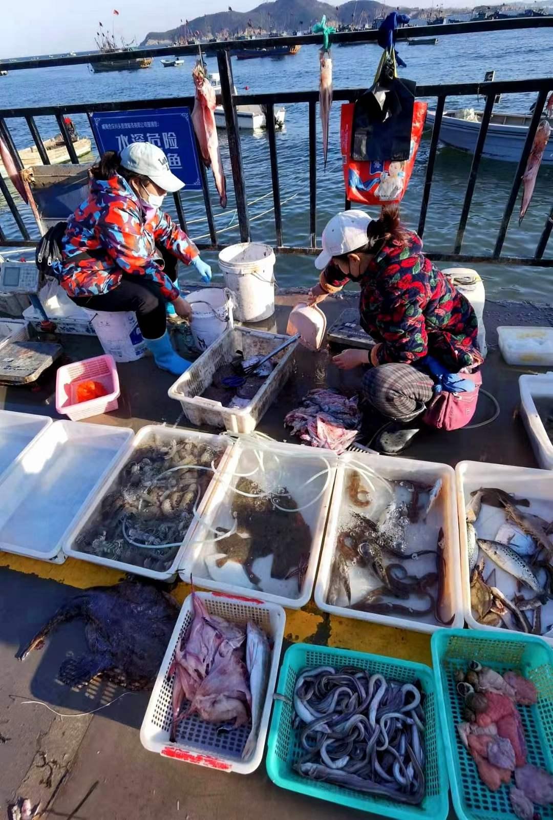 美拍直播海鲜盛宴，美食达人的海鲜狂欢