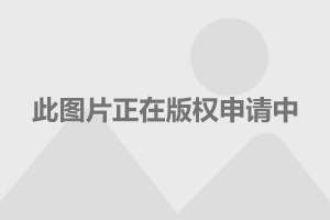 极限挑战直播平台，定义、特色与价值解析