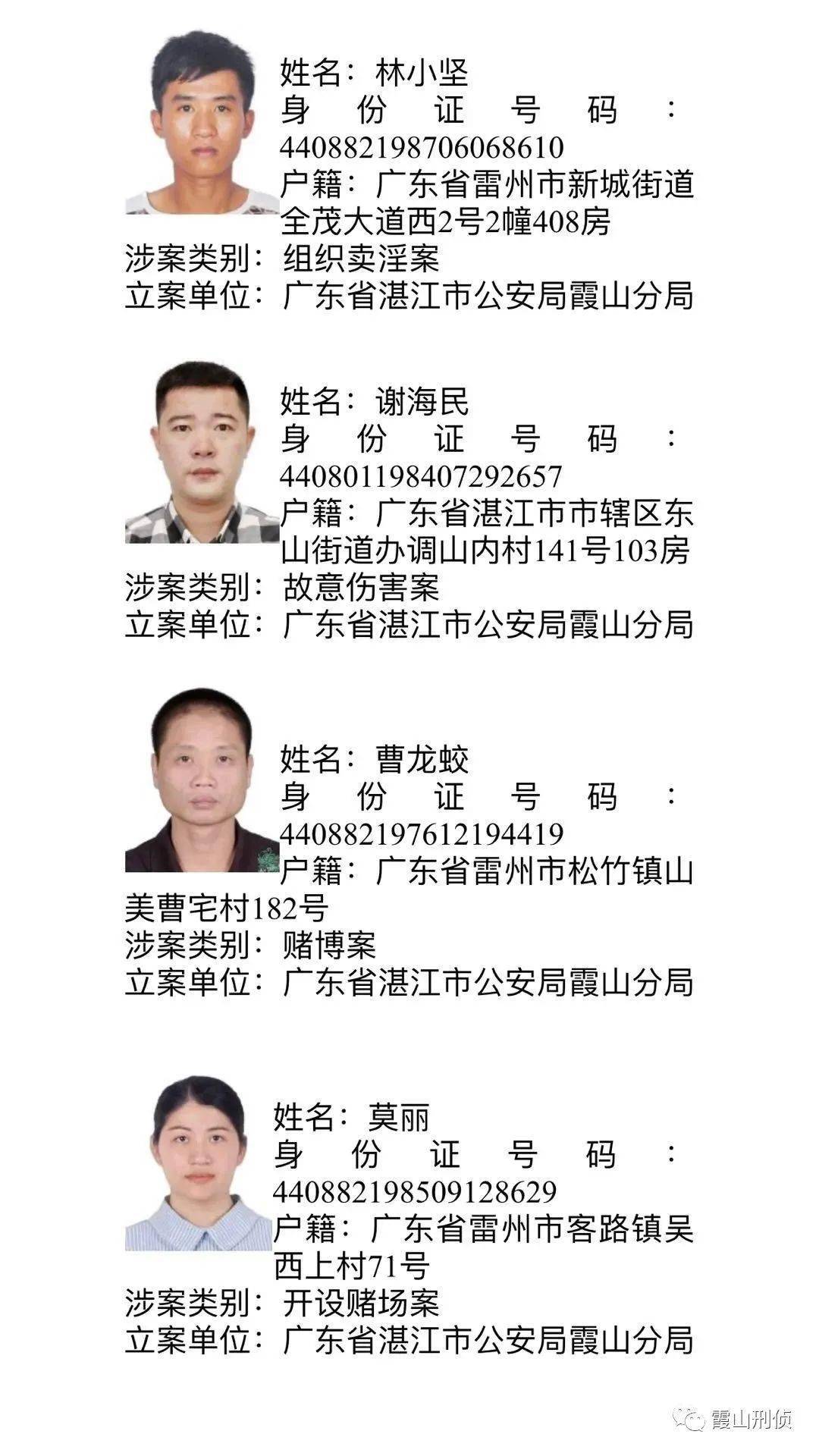 遂溪最新通缉名单公布，警钟长鸣，正义绝不缺席