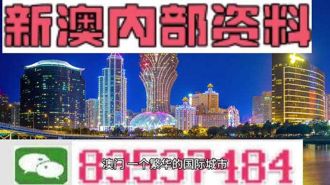 2024年新澳门王中王免费｜实用技巧与详细解析