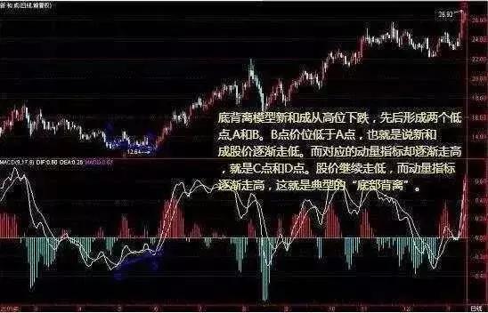 白小姐一码中期期开奖结果查询｜实用技巧与详细解析