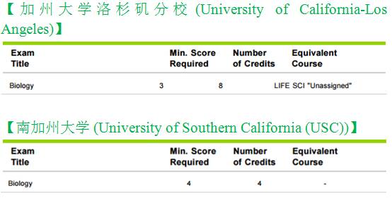 4949免费正版资料大全,现状解答解释落实_AP48.354