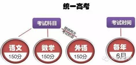 2024澳门必中一肖,详细解读落实方案_专属版44.769