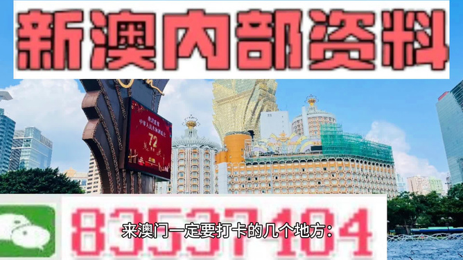 新澳门今晚开特马开,稳定执行计划_限定版50.913