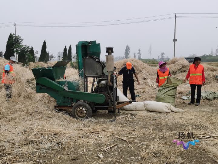 天长市二手房屋市场最新概览