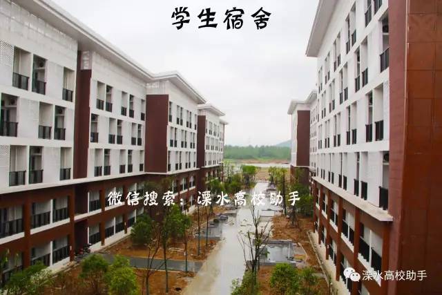 南京工业大学浦江学院，卓越教育之路，展望未来的前瞻视角（2024年最新报道）