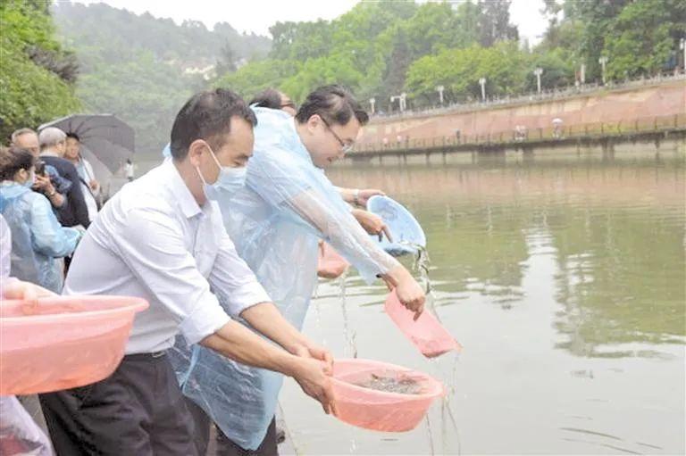 贵州最新疾病概况概览