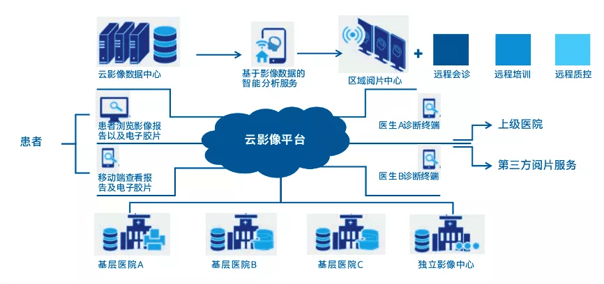 全球疫情最新数据动态及应对策略分析