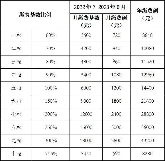 社保最新价格变动，应对策略与了解指南